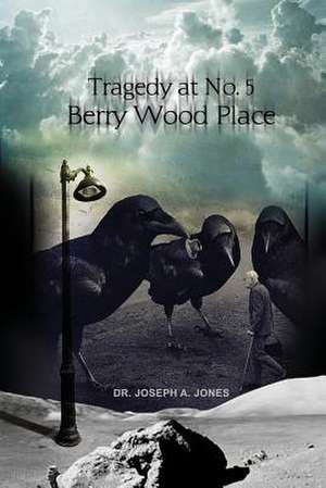 Tragedy at No. 5 Berry Wood Place de Joseph a. Jones