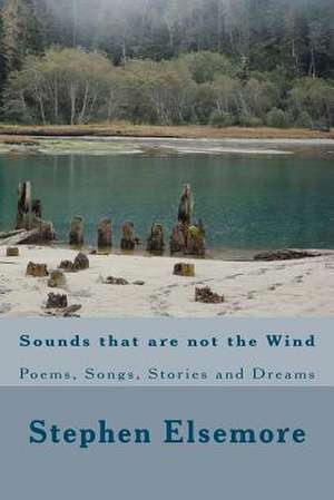 Sounds That Are Not the Wind de Stephen Elsemore