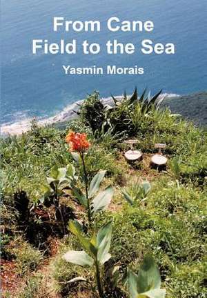 From Cane Field to the Sea de Yasmin Morais