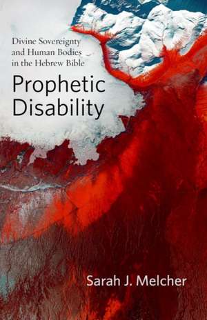 Prophetic Disability de Sarah J. Melcher