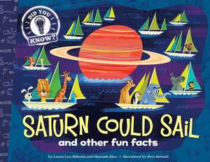 Saturn Could Sail de Laura Lyn Disiena