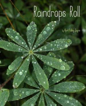 Raindrops Roll de April Pulley Sayre