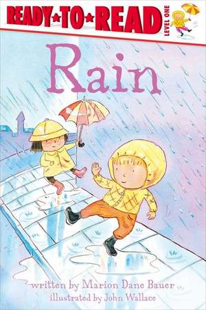 Rain de Marion Dane Bauer