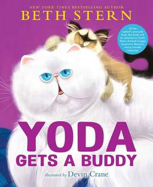 Yoda Gets a Buddy de Beth Stern