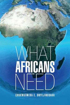 What Africans Need de Chukwuemeka E. Onyejinduaka