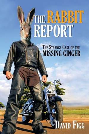 The Rabbit Report de David Figg