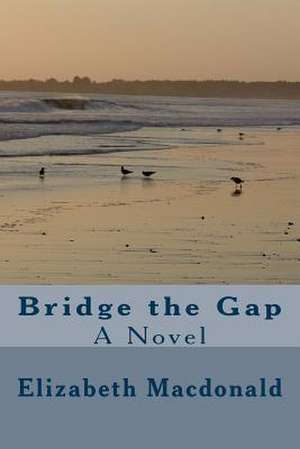 Bridge the Gap de Elizabeth MacDonald