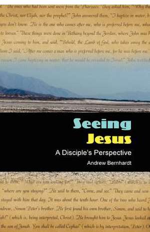 Seeing Jesus de Andrew Bernhardt