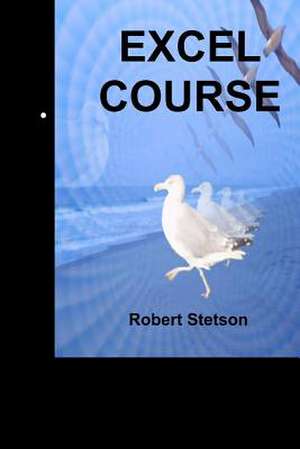 Excel Course de Robert Stetson