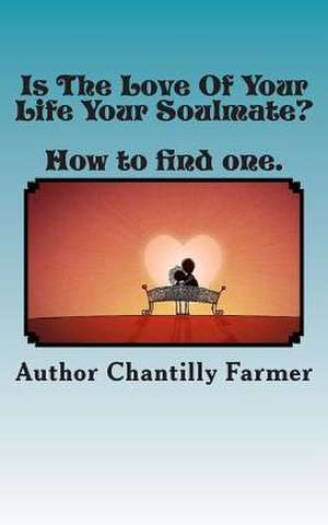 Is the Love of Your Life Your Soulmate? de Mrs Chantilly Farmer