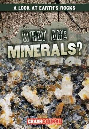 What Are Minerals? de Kristen Rajczak Nelson