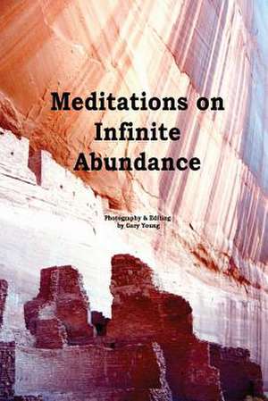 Meditations on Infinite Abundance de Gary Young