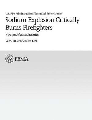 Sodium Explosion Critically Burns Firefighters de U. S. Fire Administration