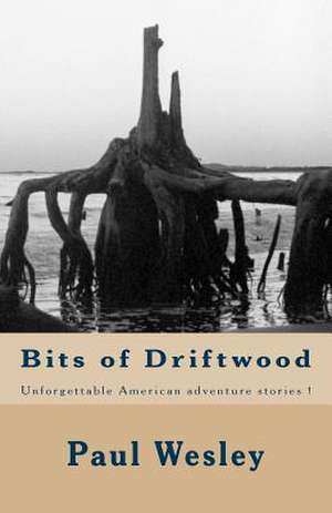 Bits of Driftwood de MR Paul Herbert Wesley