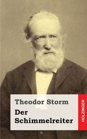 Der Schimmelreiter de Theodor Storm