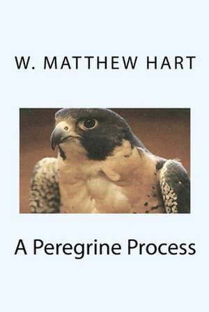 A Peregrine Process de W. Matthew Hart