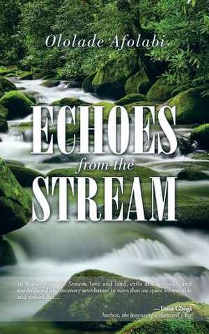 Echoes from the Stream de Ololade Afolabi