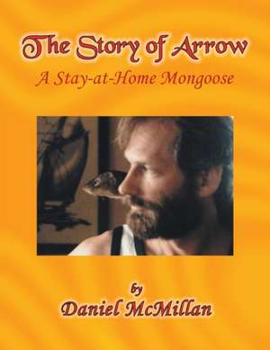 The Story of Arrow de Daniel McMillan