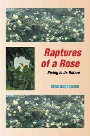 Raptures of a Rose de Usha Nandigama