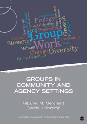 Groups in Community and Agency Settings de Niloufer M. Merchant