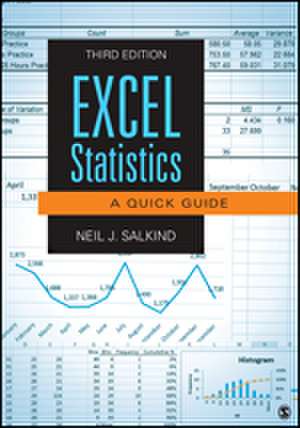 Excel Statistics: A Quick Guide de Neil J. Salkind