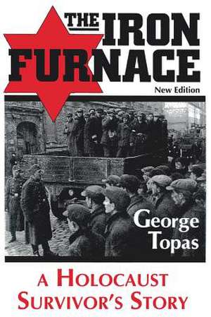 The Iron Furnace de George Topas