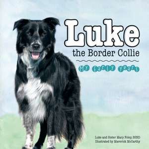 Luke the Border Collie de Ssnd Sister Mary Foley