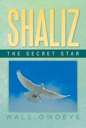 Shaliz - The Secret Star de Wale Owoeye