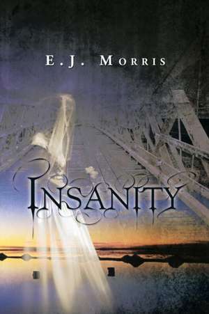 Insanity de E. J. Morris