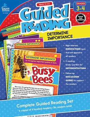 Guided Reading: Determine Importance de Natalie Rompella
