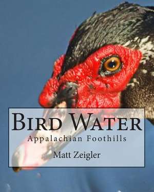 Bird Water de Matt Zeigler