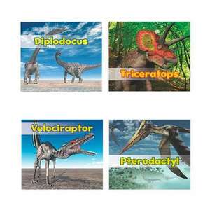 All about Dinosaurs de Daniel Nunn