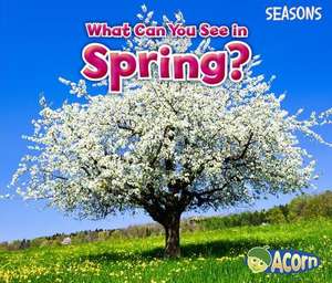 What Can You See in Spring? de SIAN SMITH