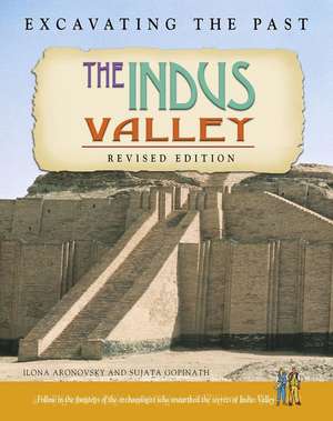 The Indus Valley de Ilona Aronovsky