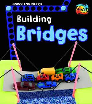 Building Bridges de Tammy Enz