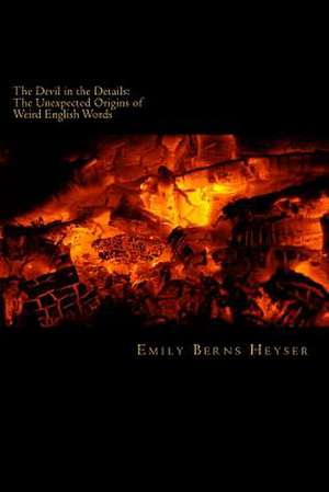 The Devil in the Details de Emily Berns Heyser