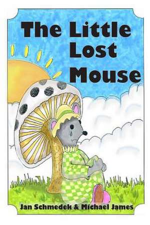 The Little Lost Mouse de Jan Schmedek