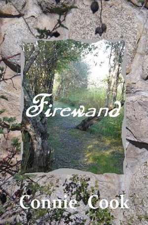 Firewand de Connie Cook