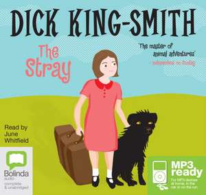 King-Smith, D: The Stray