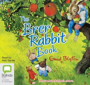 Blyton, E: The Brer Rabbit Book