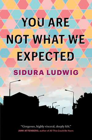 You Are Not What We Expected de Sidura Ludwig