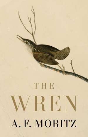 The Wren de A. F. Moritz