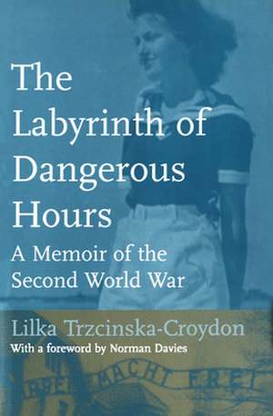 Labyrinth of Dangerous Hours de J. R. Miller