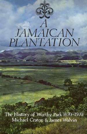 A Jamaican Plantation de Michael Craton