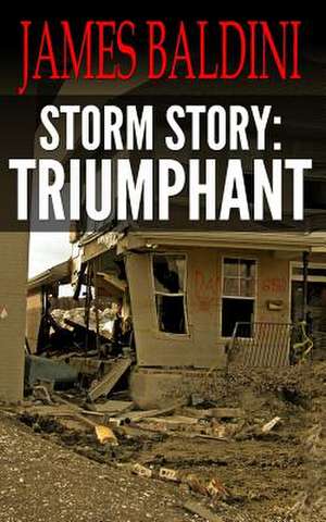 Storm Story de James Baldini