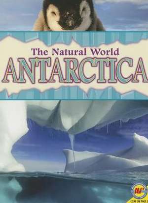 Antarctica de Steve Goldsworthy