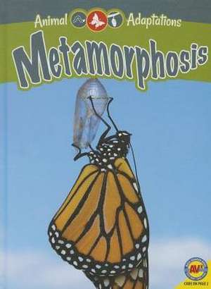 Metamorphosis de Jack Zayarny