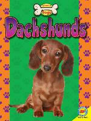 Dachshunds de Susan H. Gray