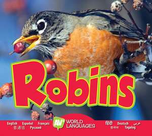 Robins de Katie Gillespie