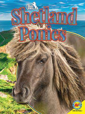 Shetland Ponies de Pamela Dell